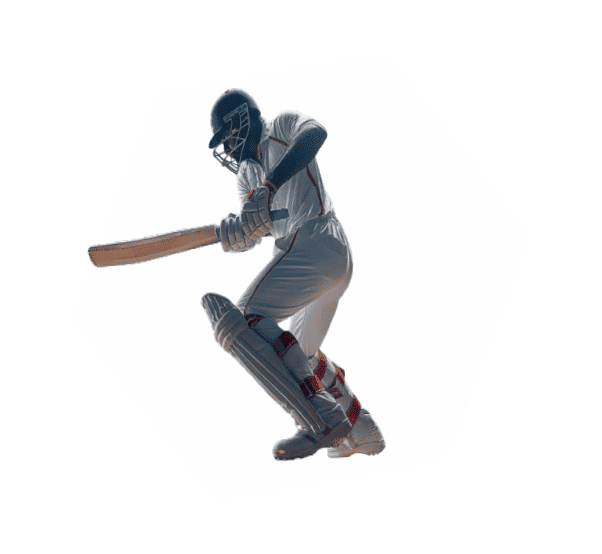 Fantasy Cricket Experience